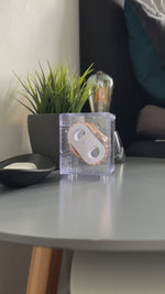 Förvaringslåda för klockor - genomskinlig plast